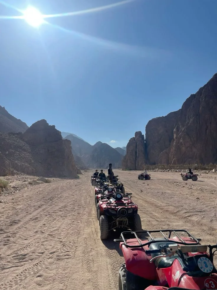 Beach Buggy to the Bedouin Village gallery photo 1
