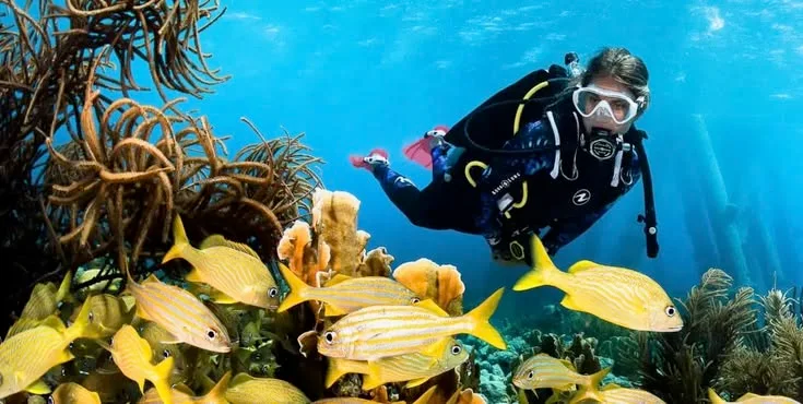 Diving + Snorkeling Day gallery photo 1