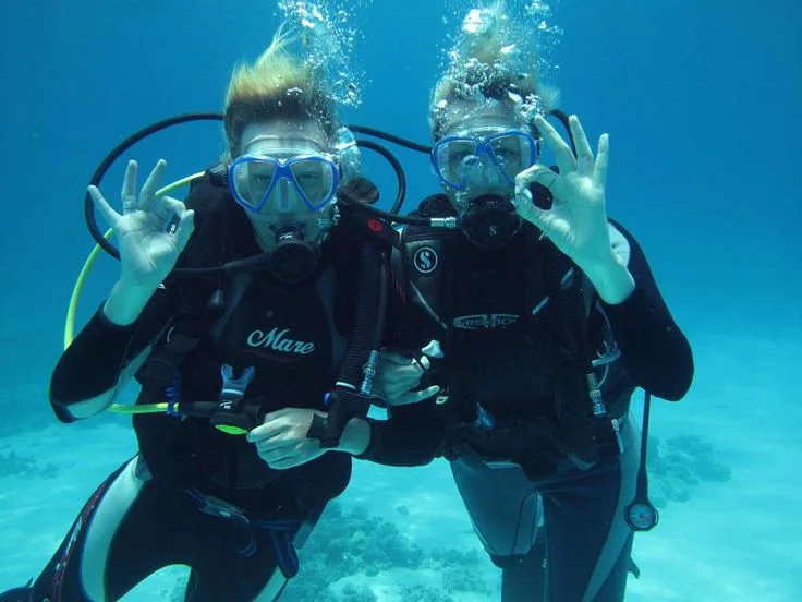 Orange Bay or Hula + Dive gallery photo 1